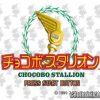 Chocobo Stallion (J) [SLPS-02520] PS1 ISO