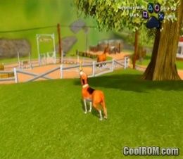 Dog PS2 ISO