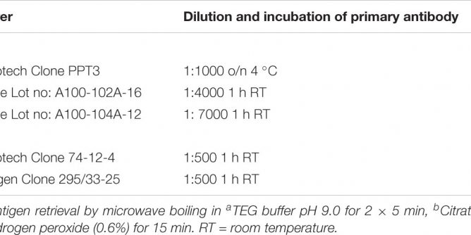 Essential PlayStation 1 (E) [SCED-00502] PS1 ISO