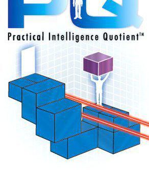 PQ Practical Intelligence Quotient PSP ISO