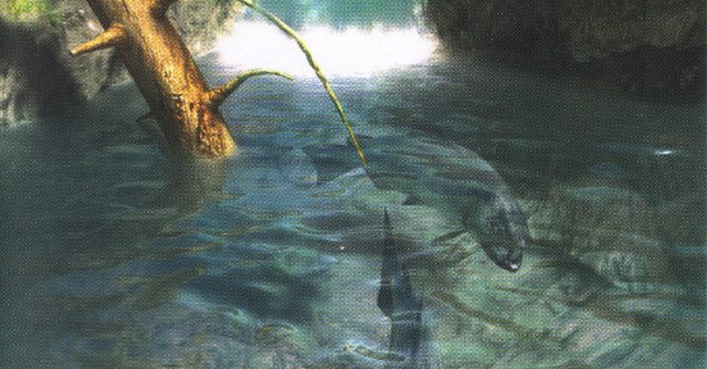 Reel Fishing The Great Outdoors USA PSP ISO