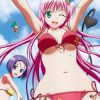 To Love Ru Doki Doki Rinkai Gakkou Hen JPN PSP ISO